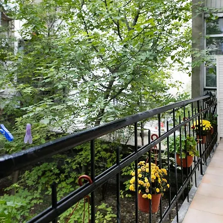 Natalie's 베오그라드